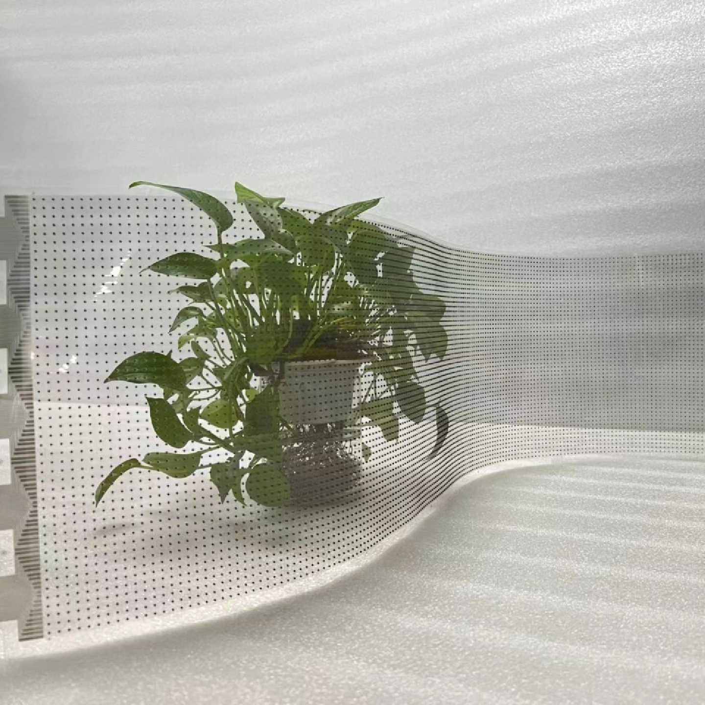 Transparent LED film showing potted plant through the film